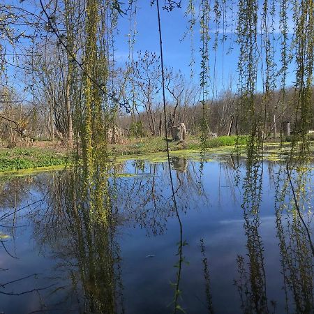 La Barcelle, Une Pause Nature. Perrigny  المظهر الخارجي الصورة